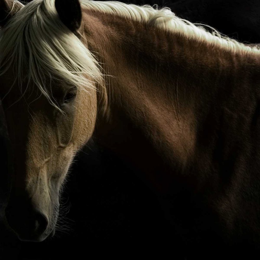 Art Print: Spirit Horse