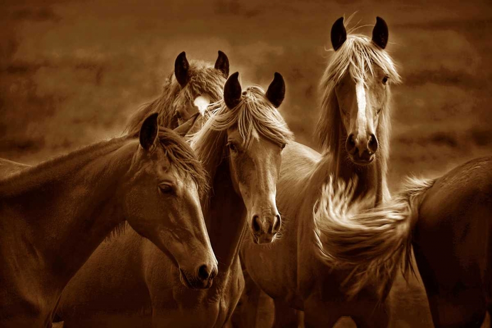 Art Print: Bad Girls