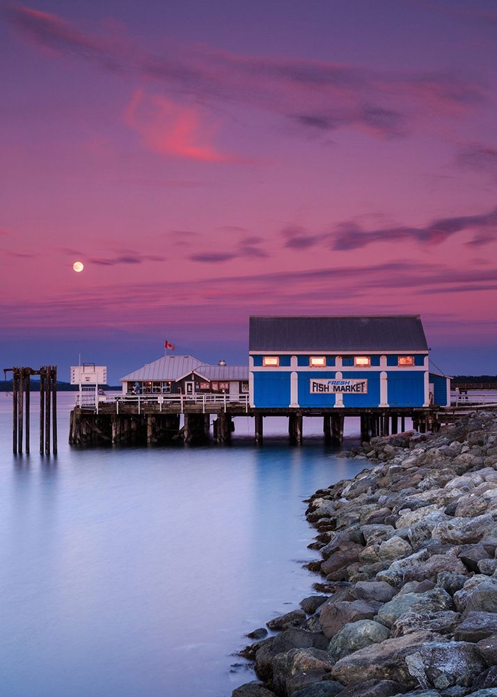 Art Print: Moon over Sidney Fish Market