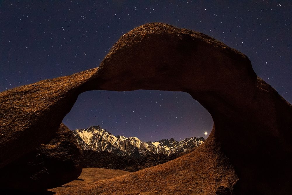 Art Print: Venus Through Mobius Arch