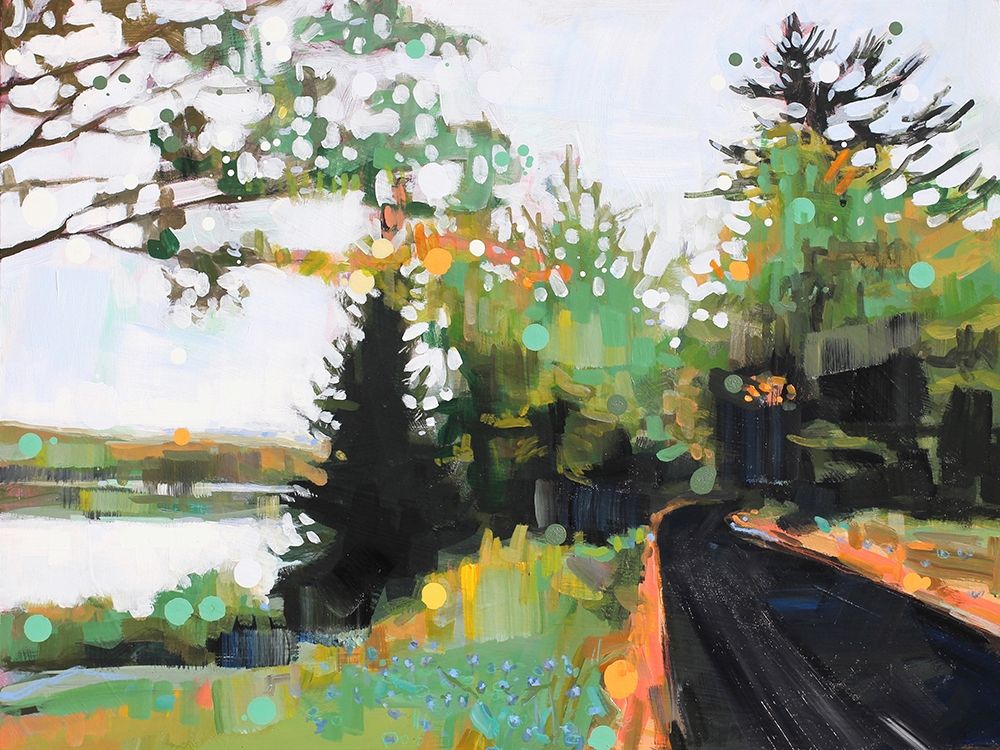 Wall Art Painting id:212654, Name: Star Splitter, Artist: Swanson, Adam