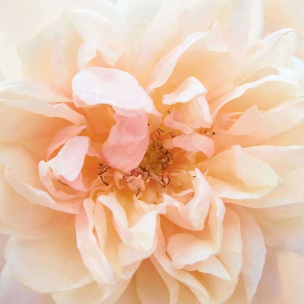 Similar wall art painting: 15098