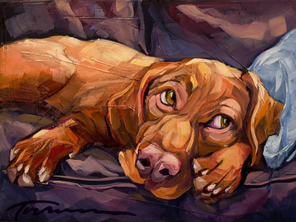 Wall Art Painting id:184572, Name: Beauty Rest, Artist: Townsend, Connie R.