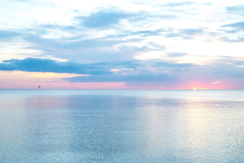 Art Print: Hurricane Calm