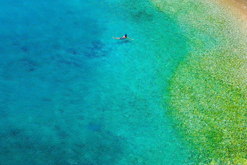 Art Print: Solo Swim