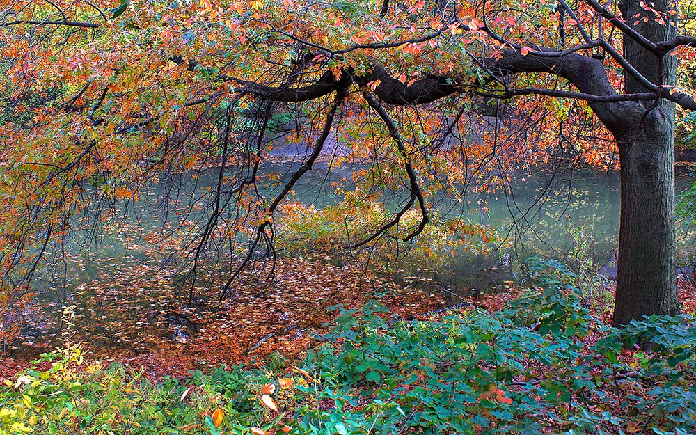 Art Print: Fall Retreat