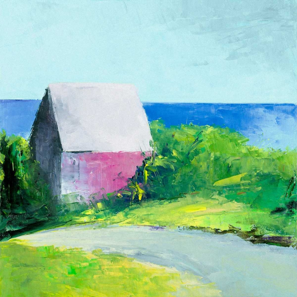 Art Print: Pink House