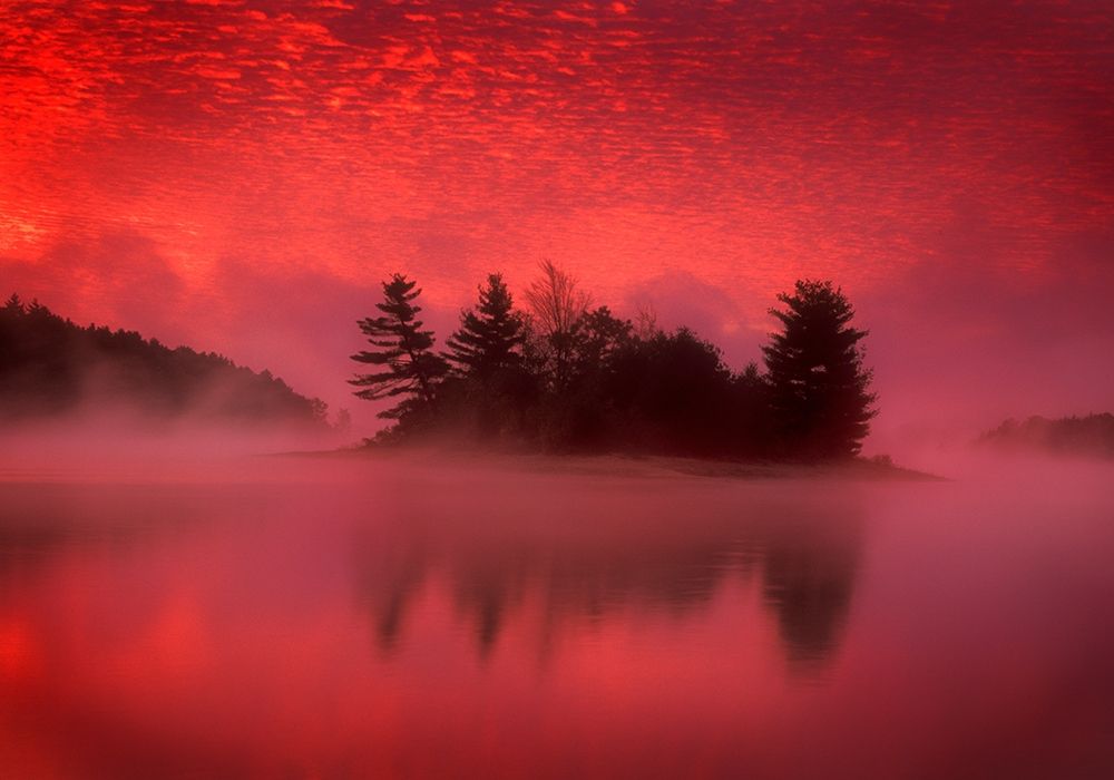 Art Print: Islands In The Pink