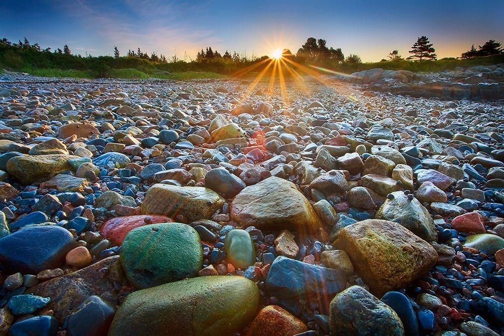 Art Print: Schoodic Rocks