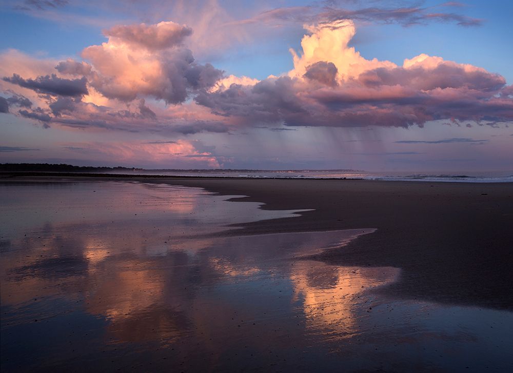 Art Print: Evening Rain