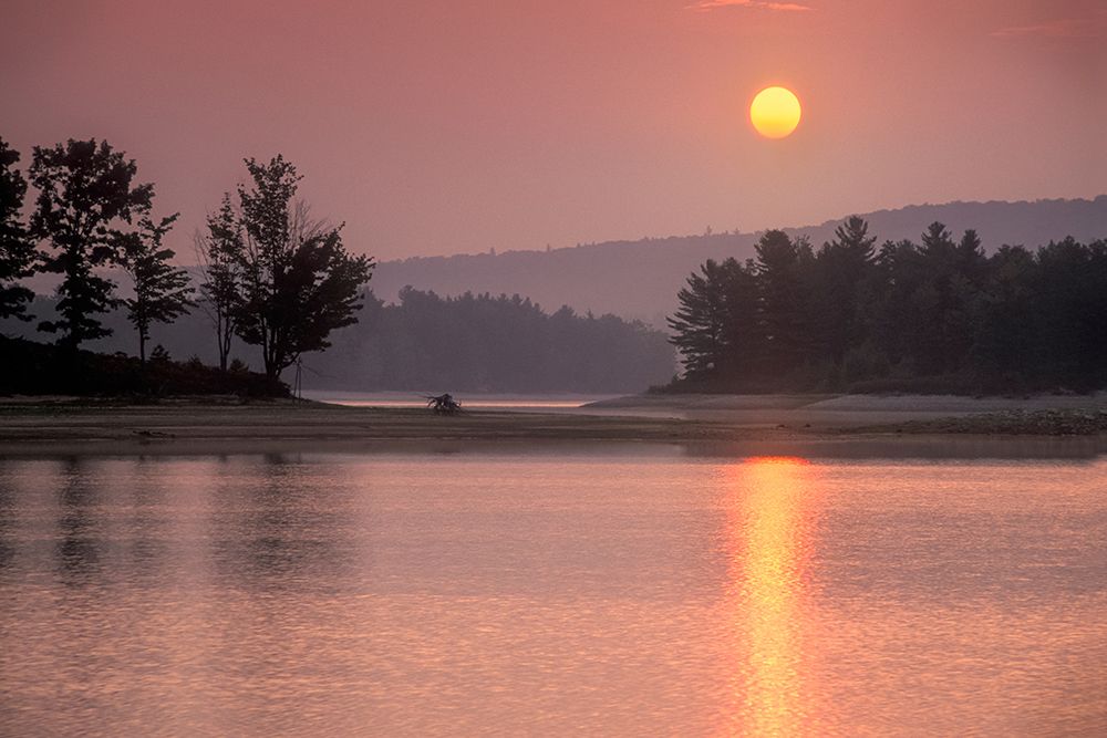 Art Print: Morning Shimmer