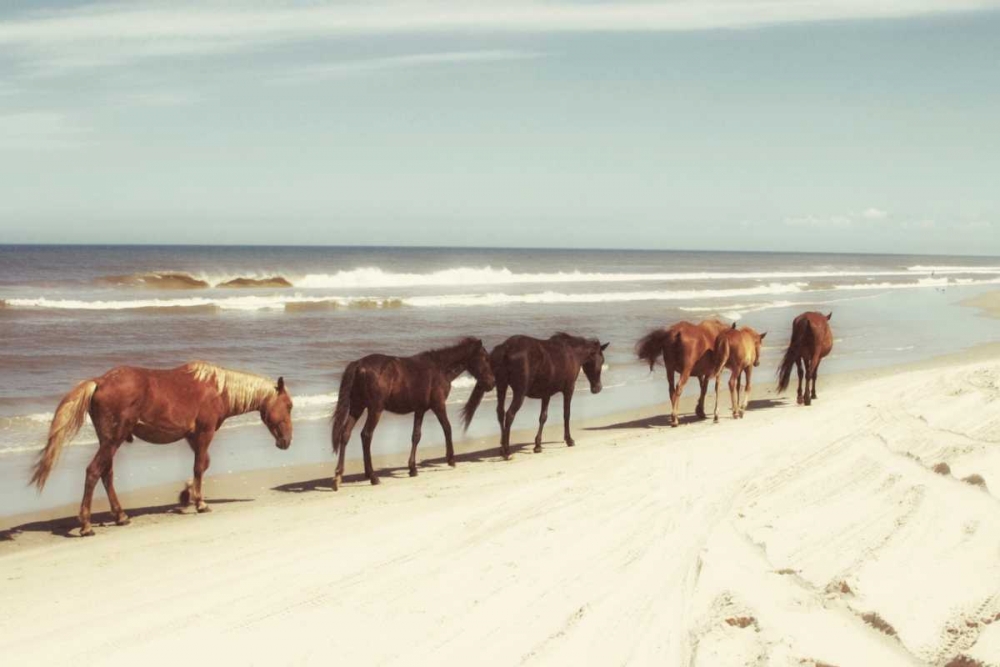 Art Print: Horses on the Beach