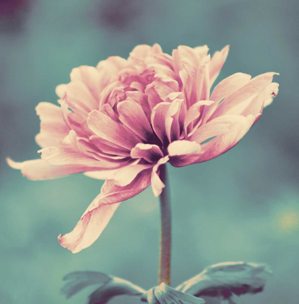 Similar wall art painting: 73988