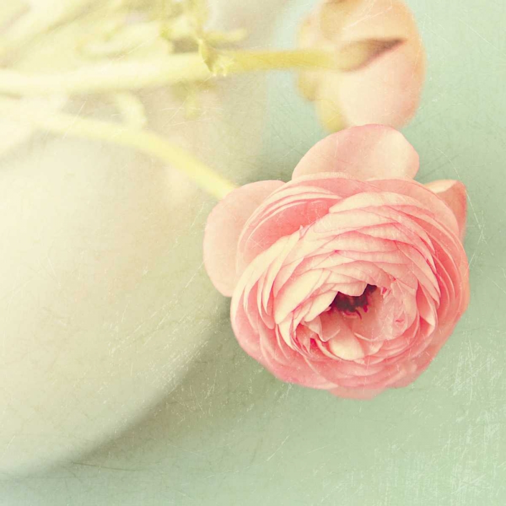 Art Print: Vintage Peony I