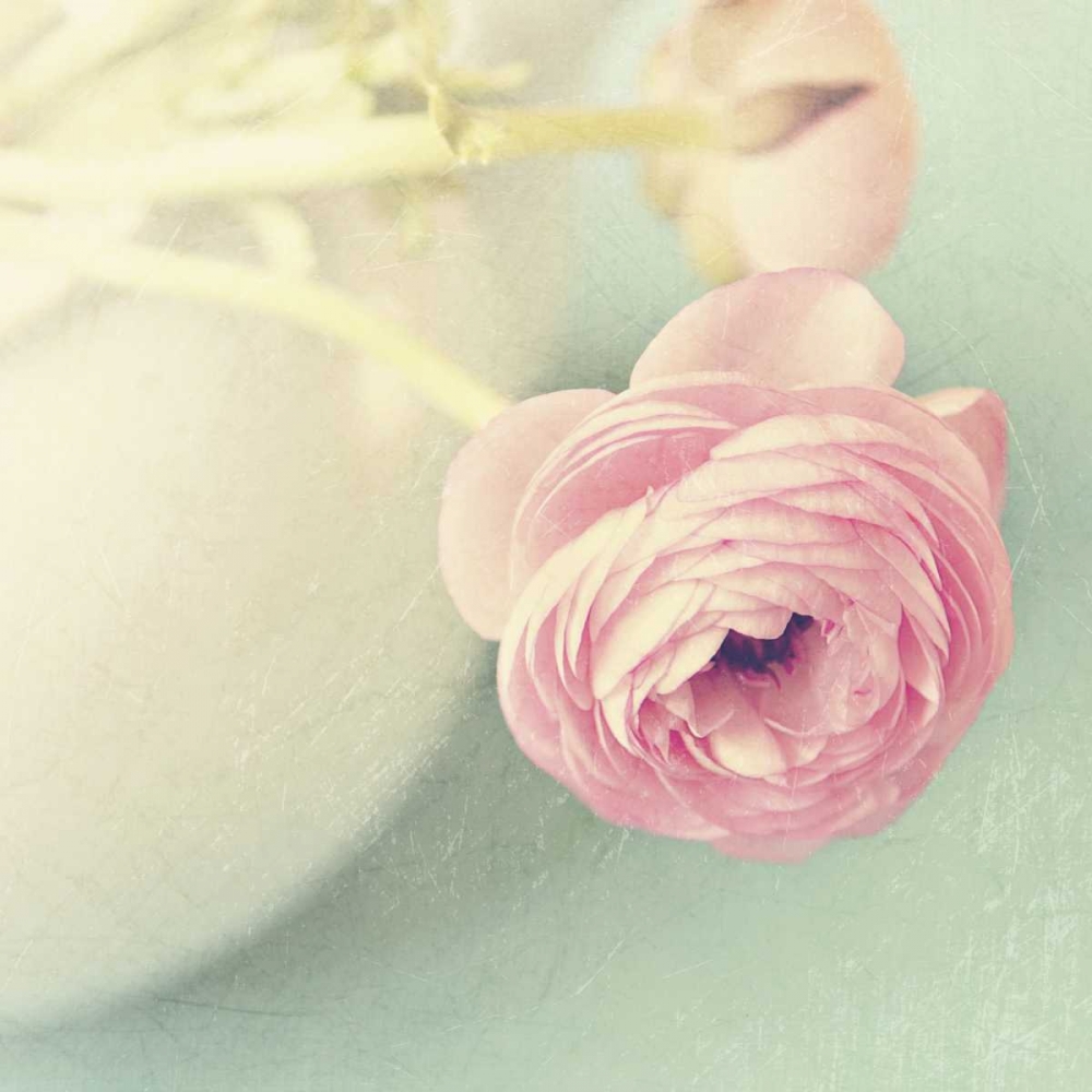 Wall Art Painting id:47422, Name: Vintage Pink Peony I, Artist: Gardner, Sarah