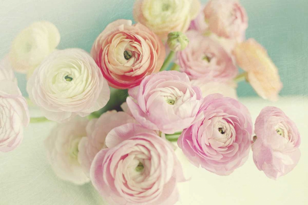 Art Print: Blushing Blossoms