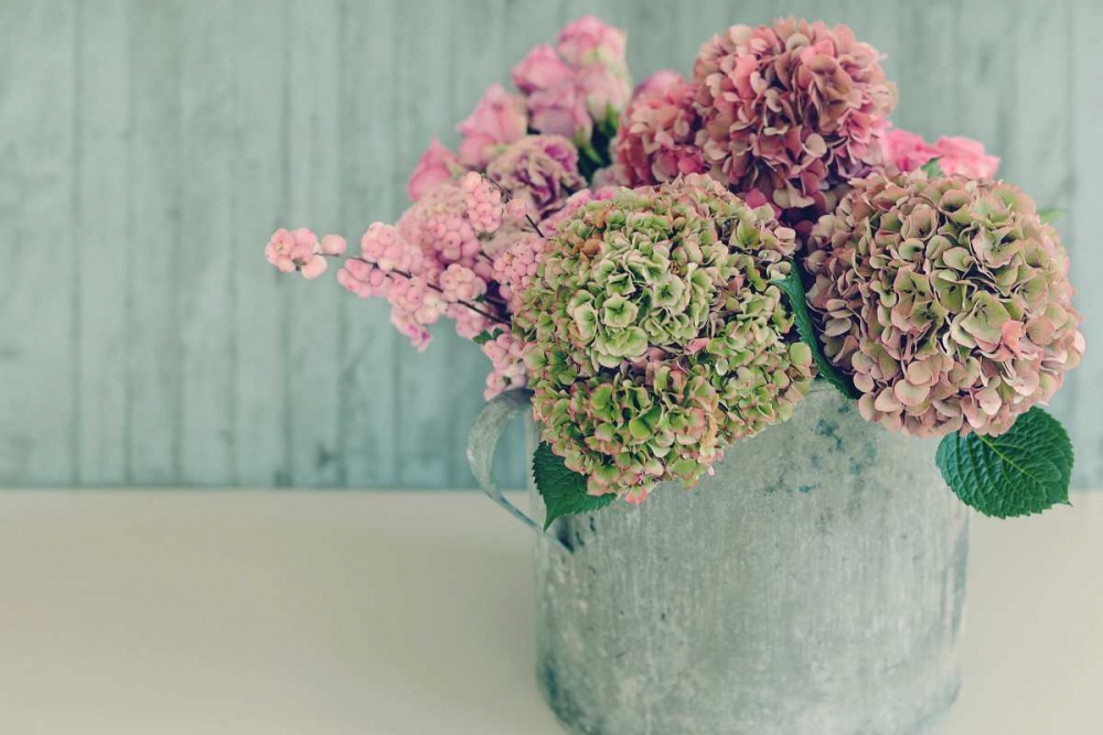 Art Print: Blossoming Water Can