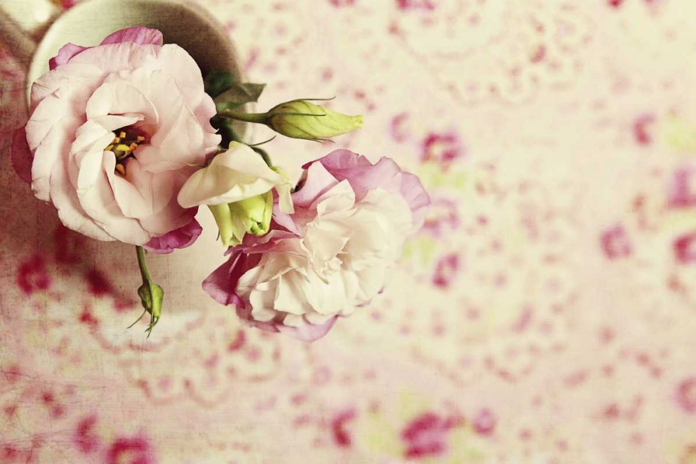 Wall Art Painting id:47354, Name: A Cup of Romance, Artist: Gardner, Sarah