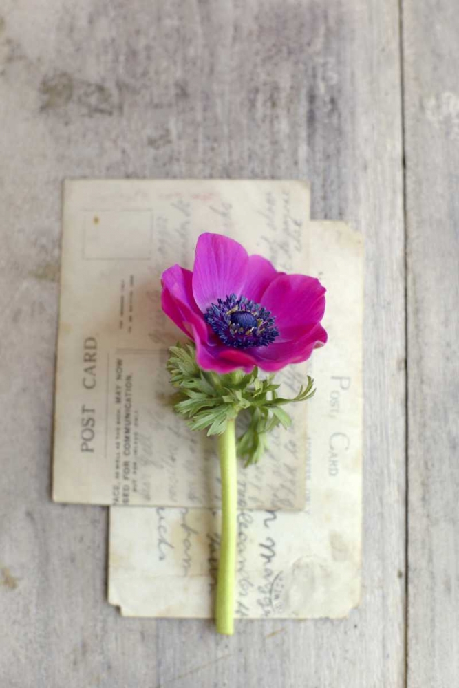 Wall Art Painting id:47356, Name: Love Note, Artist: Gardner, Sarah