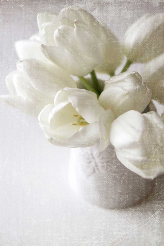 Wall Art Painting id:74006, Name: Vanishing in the White Elegance, Artist: Gardner, Sarah