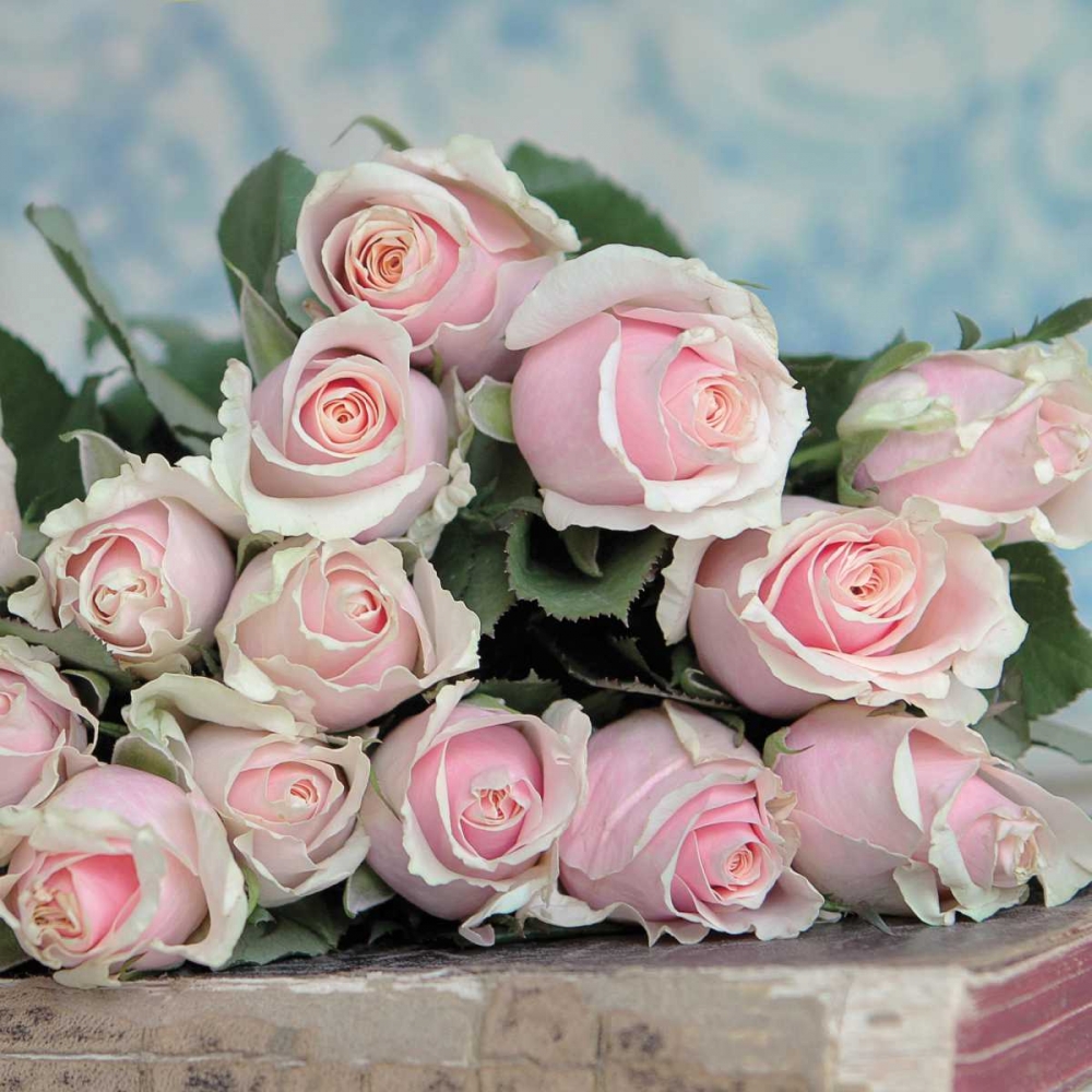 Wall Art Painting id:159060, Name: A Gift for Captivation Square, Artist: Gardner, Sarah