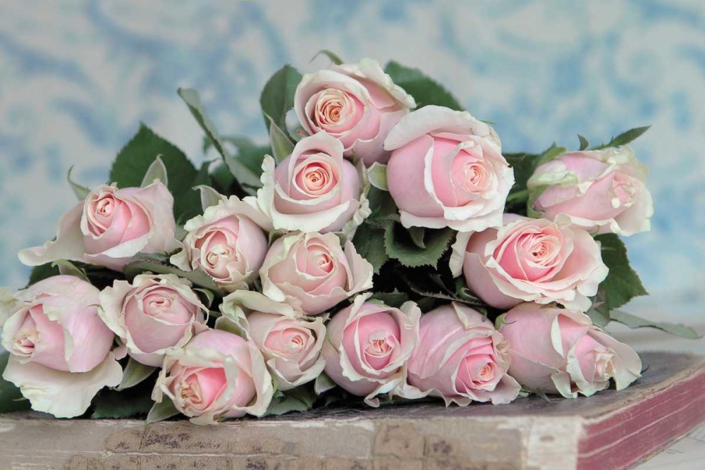 Wall art: A Gift for Captivation, by Gardner, Sarah