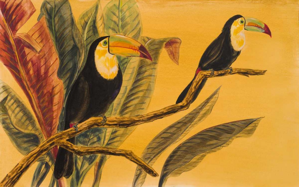 Art Print: Toucans II