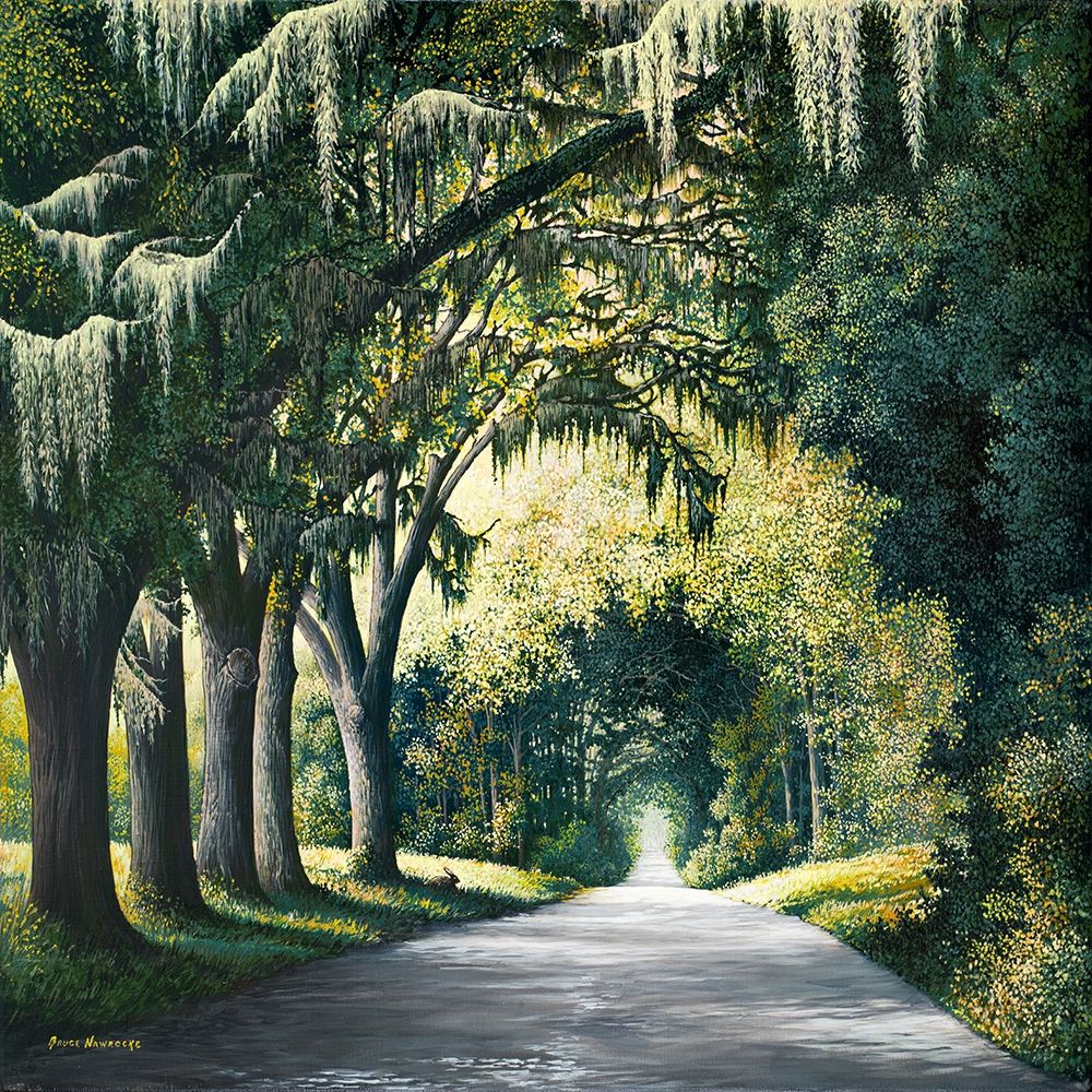 Art Print: Down the Rabbit Hole Square