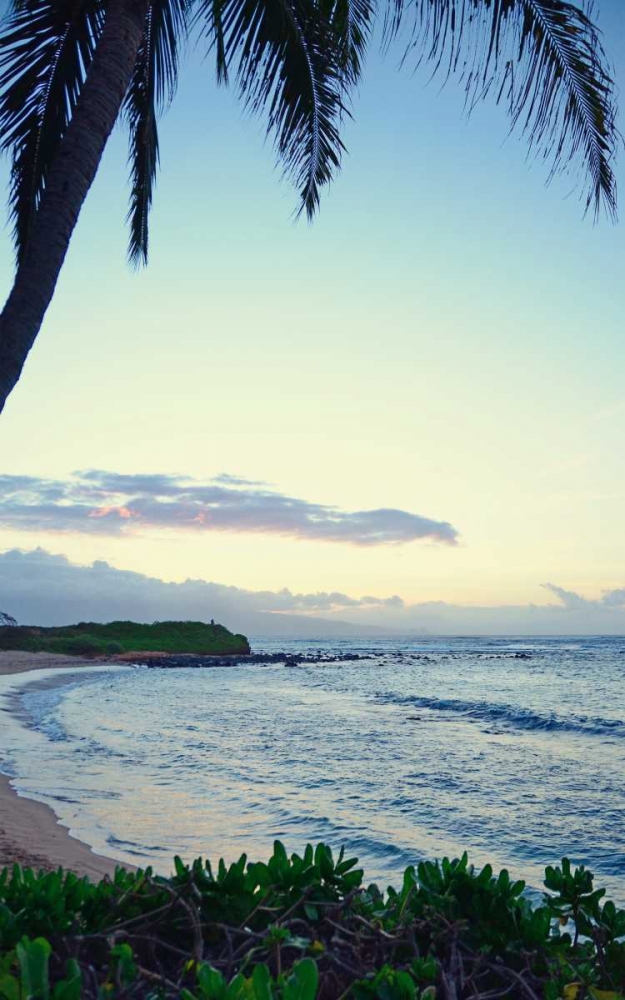 Art Print: Under the Palm