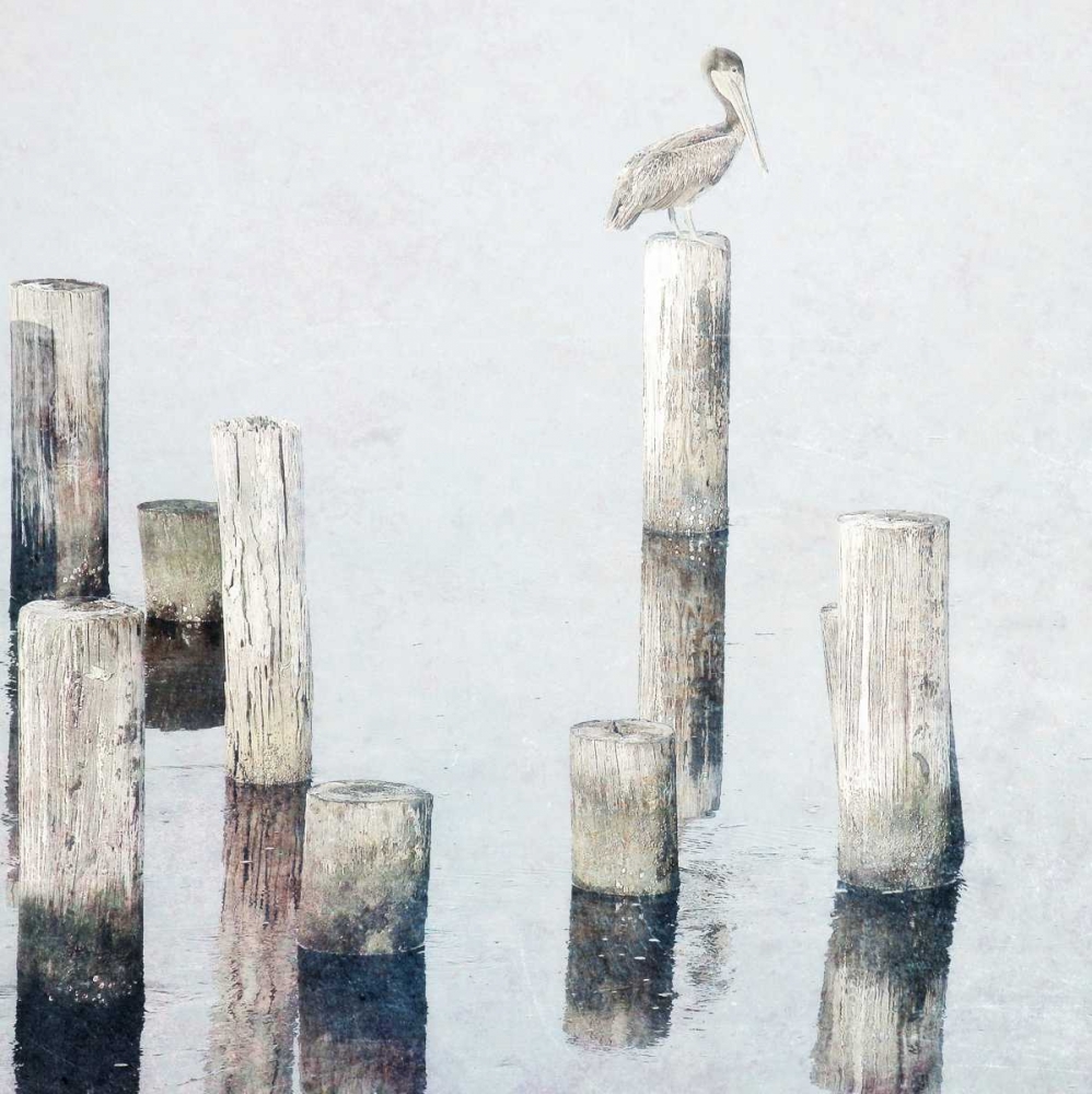 Art Print: Perched Pelican