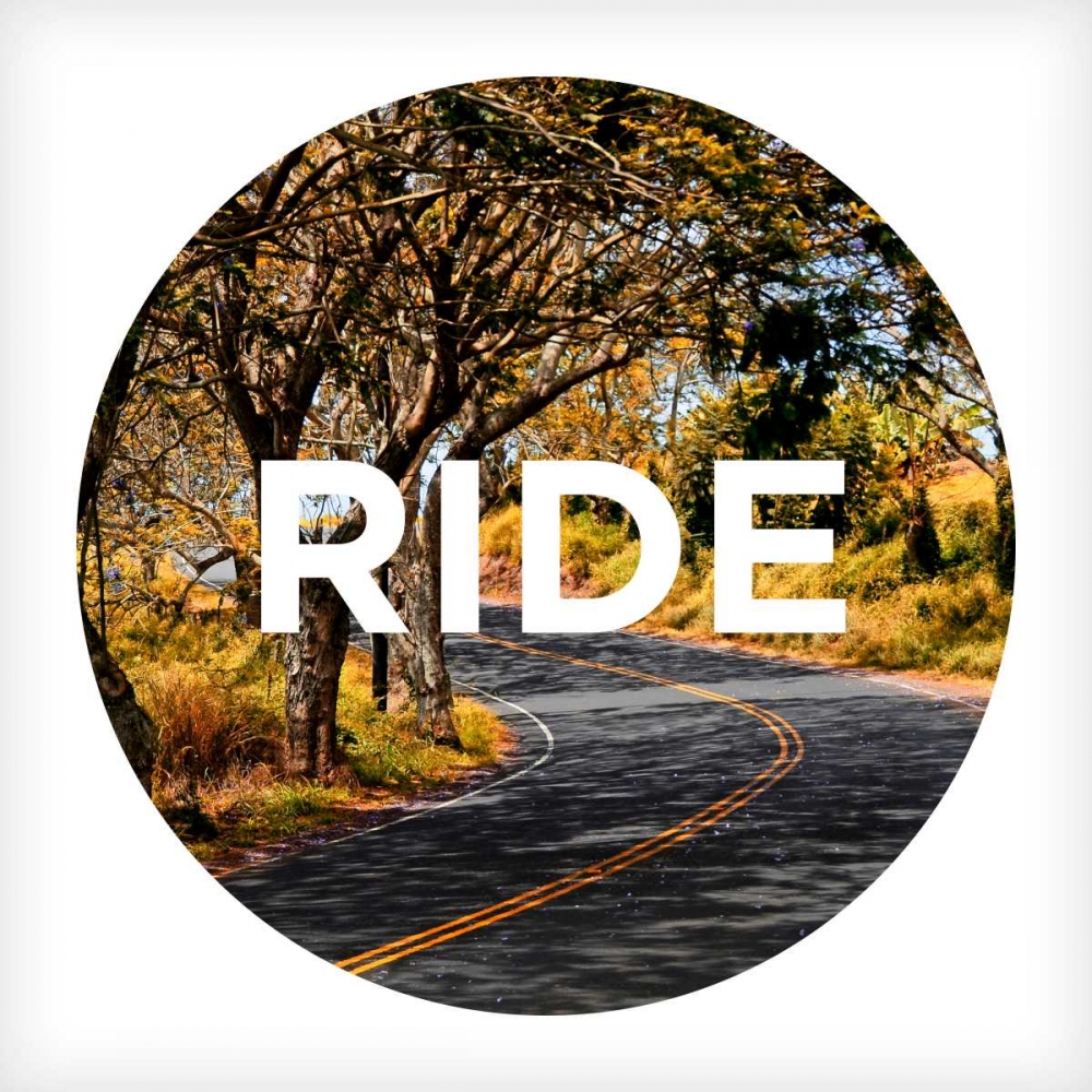 Art Print: Active Type I