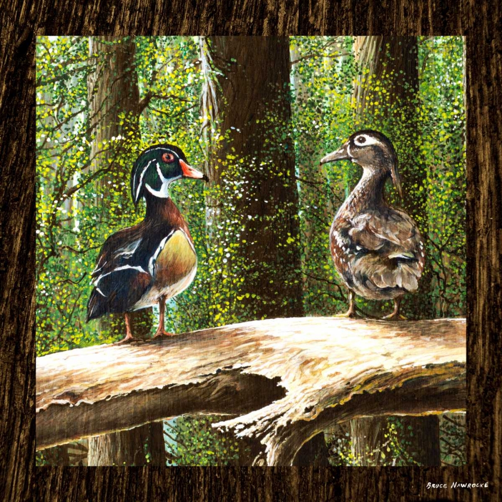 Wall art: Pairing Up Square I, by Nawrocke, Bruce