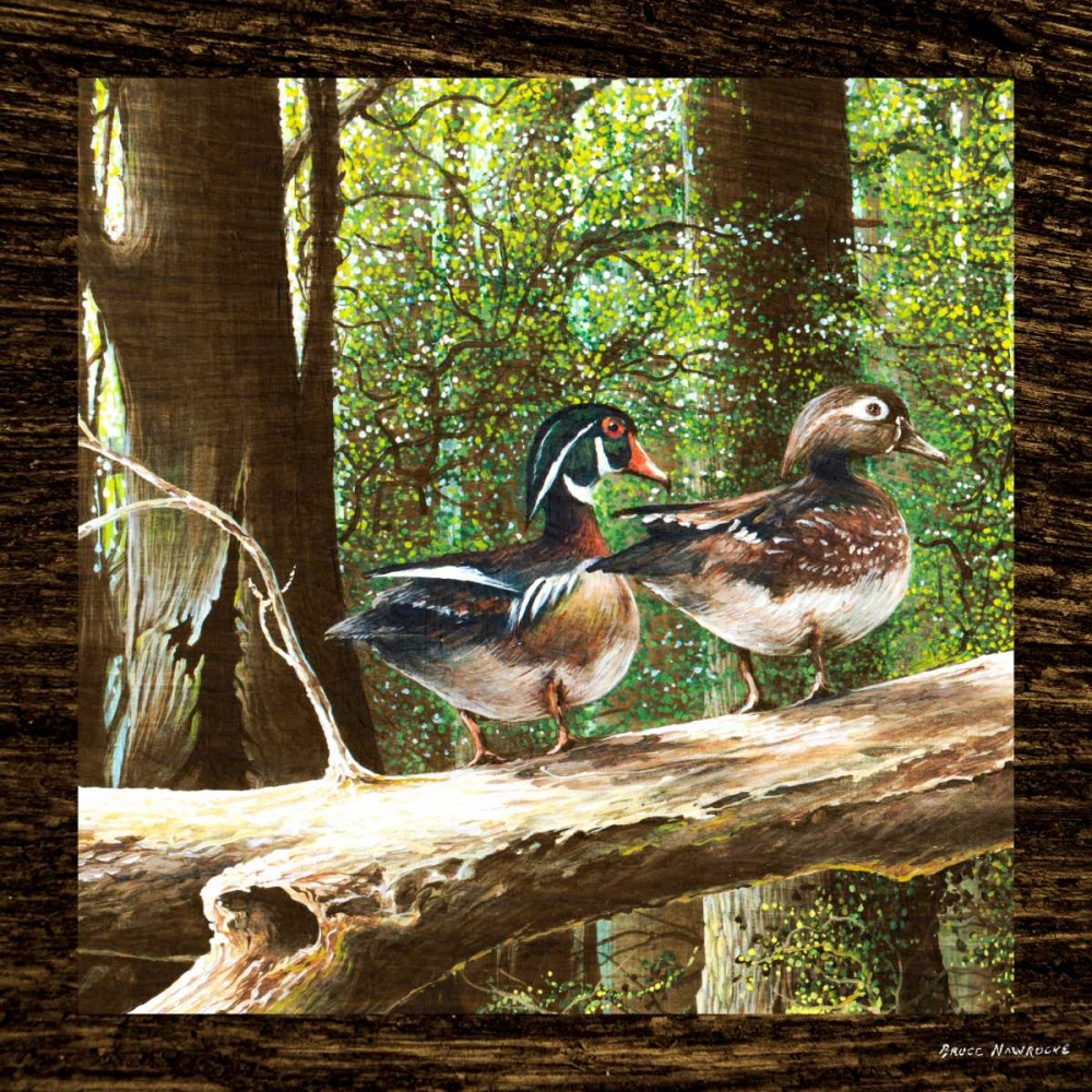 Wall art: Pairing Up Square II, by Nawrocke, Bruce