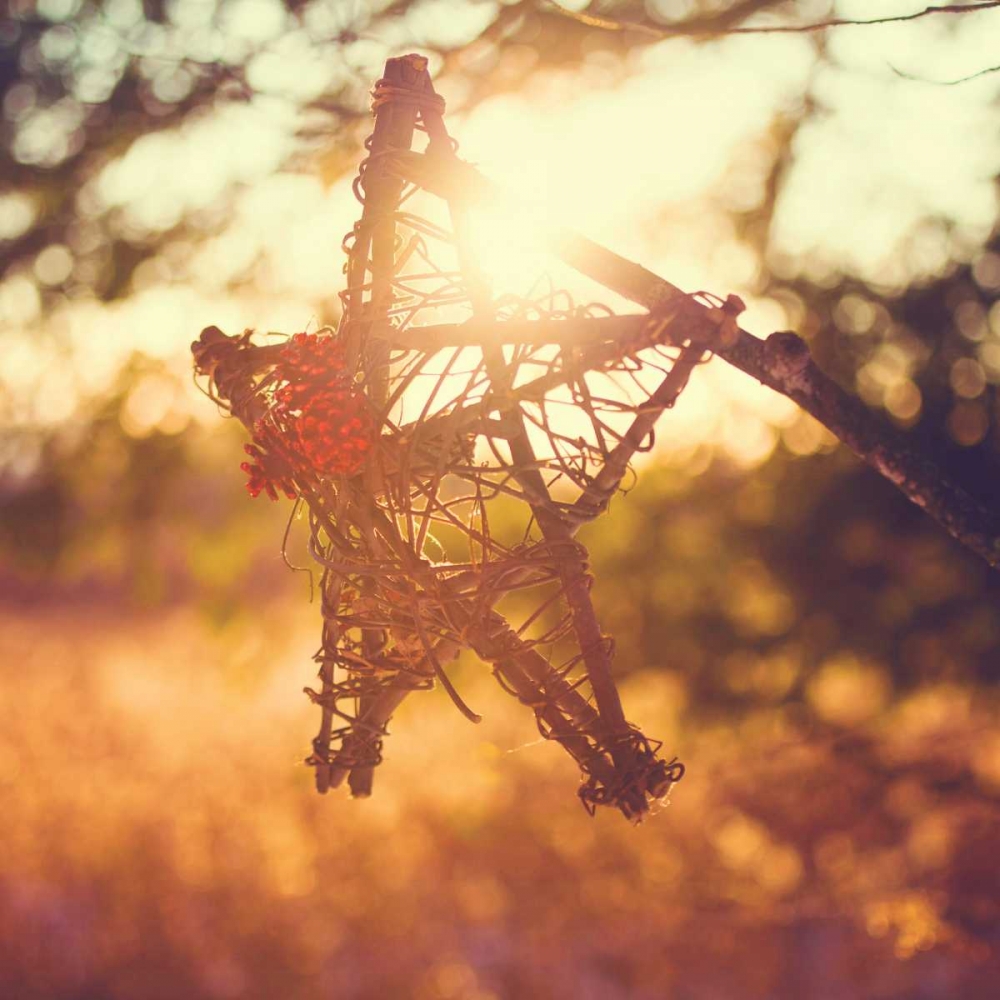 Art Print: Morning Star