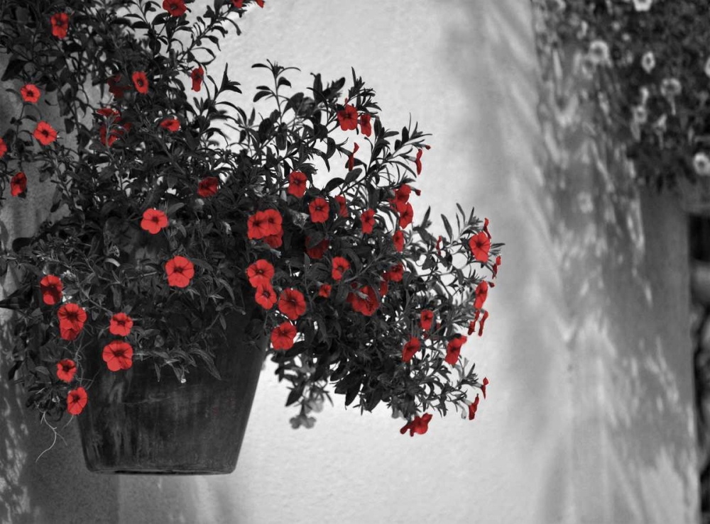 Wall Art Painting id:47667, Name: Garden Areas Border I, Artist: Peck, Gail