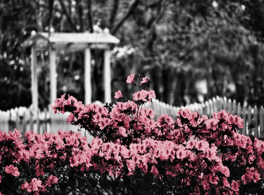 Similar wall art painting: 47668