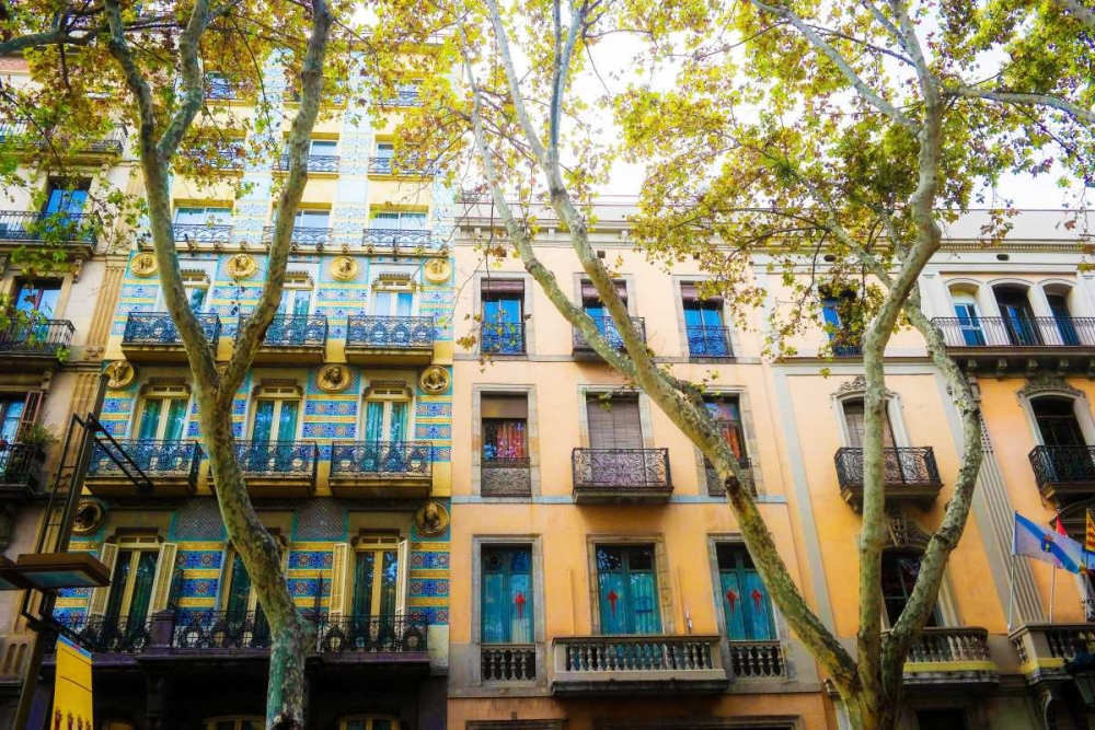 Art Print: Dream Street