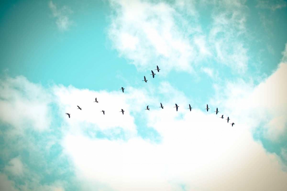 Similar wall art painting: 122416