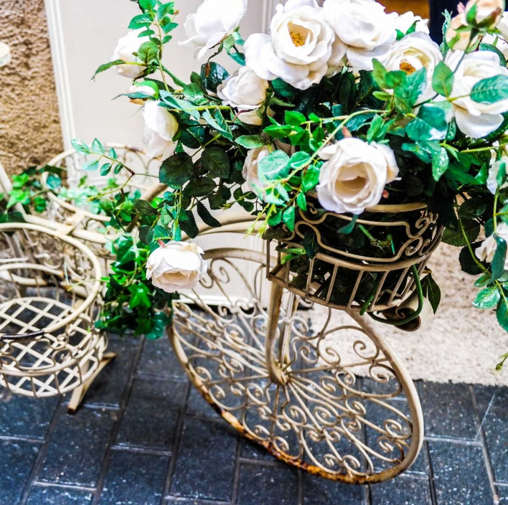 Art Print: Flower Bike Square