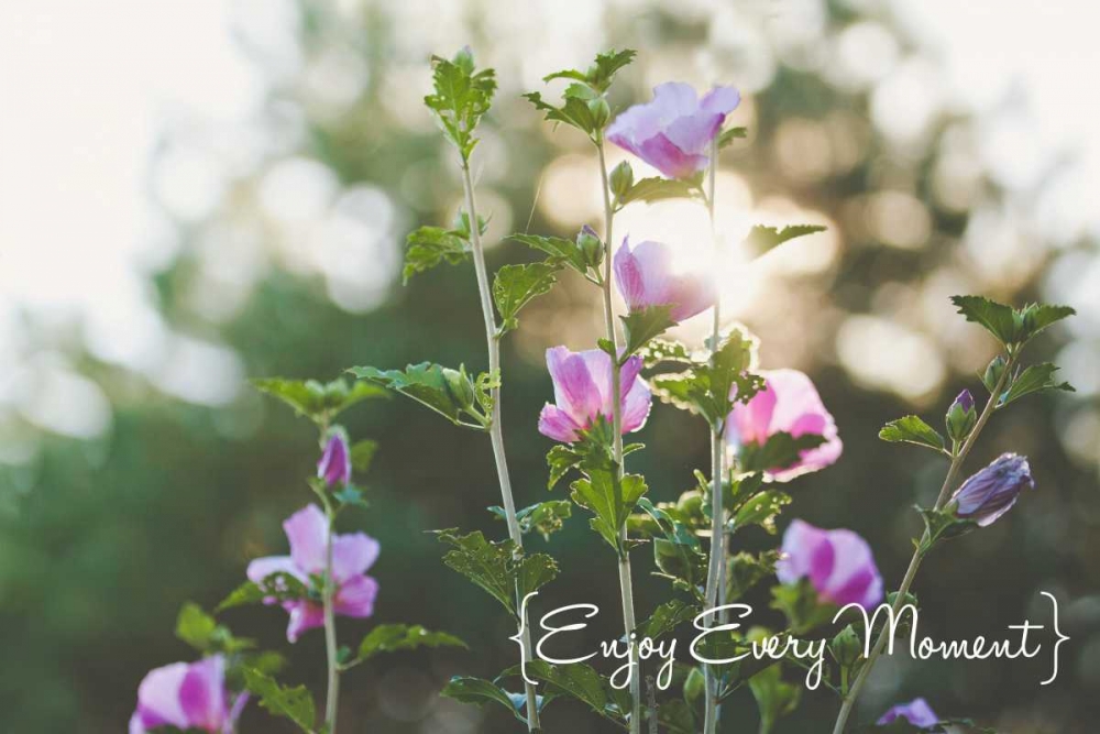 Art Print: Enjoy Every Moment