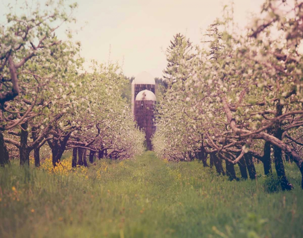 Art Print: Silo View