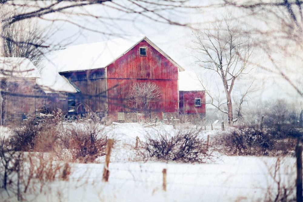 Art Print: Winter Barn