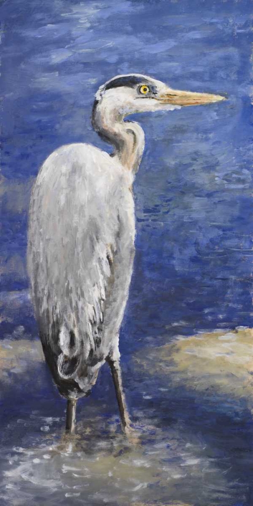 Wall Art Painting id:31766, Name: Into the Pond II, Artist: Johnson, Walt