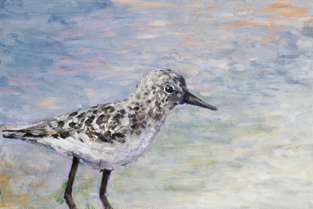 Wall Art Painting id:31767, Name: Sandpiper I, Artist: Johnson, Walt