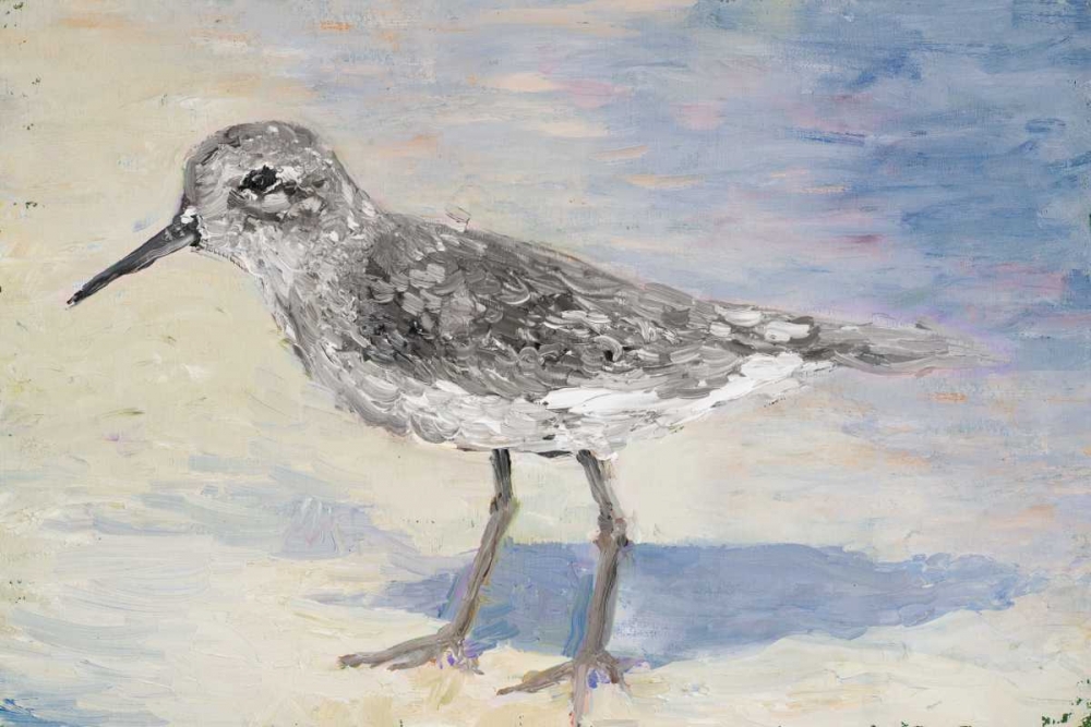 Wall Art Painting id:31768, Name: Sandpiper II, Artist: Johnson, Walt