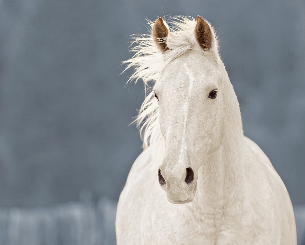 Art Print: The Lucky One