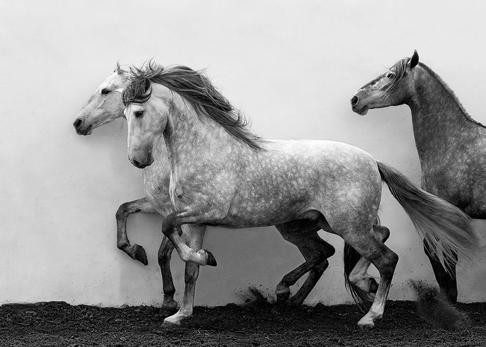 Art Print: Lining Up