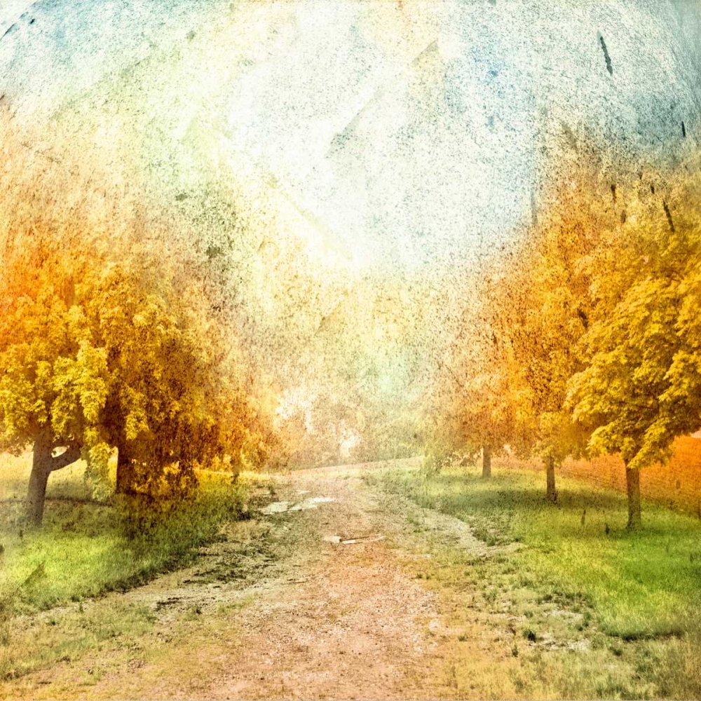 Art Print: Oak Path