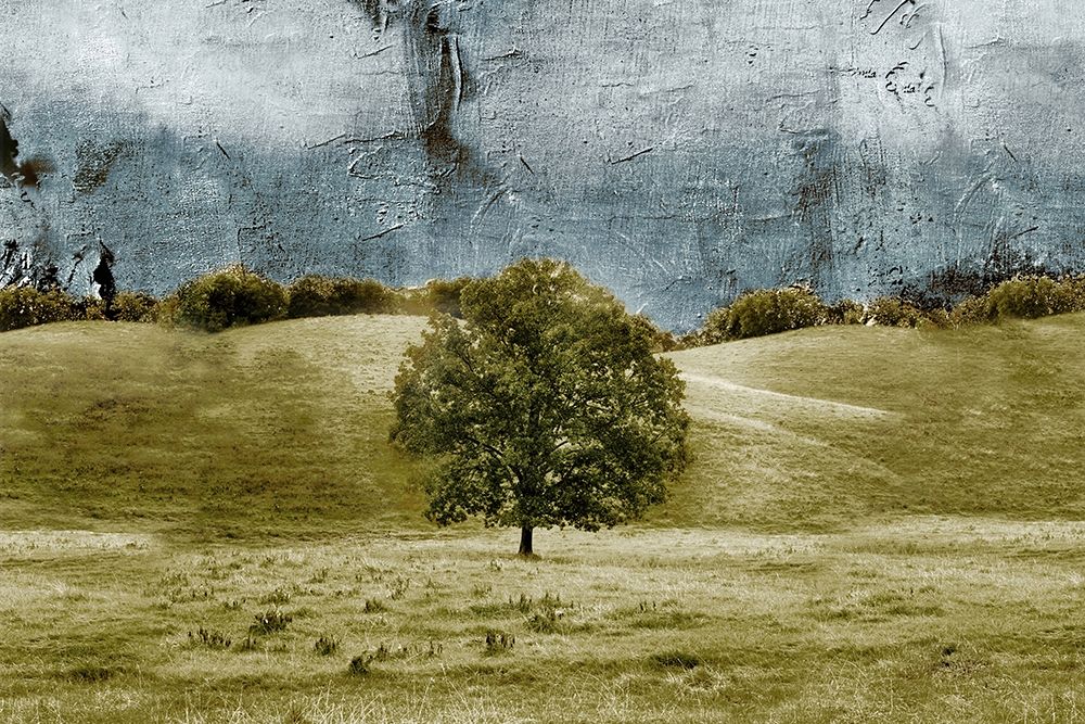 Art Print: Tree in the Valley