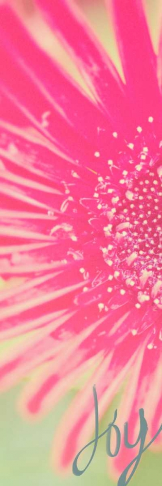 Wall Art Painting id:122645, Name: Joy Flower, Artist: Bryant, Susan